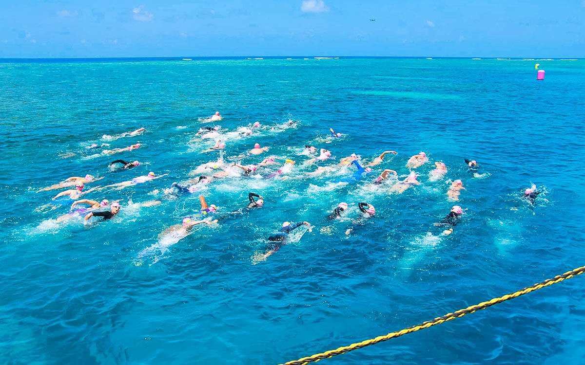 Great Barrier Reef Swim Series - The Classics Cover Image